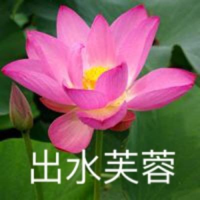 吓死宝宝游戏下载