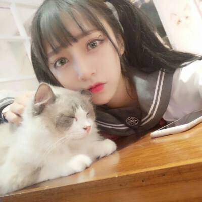芝麻升官记红包版下载